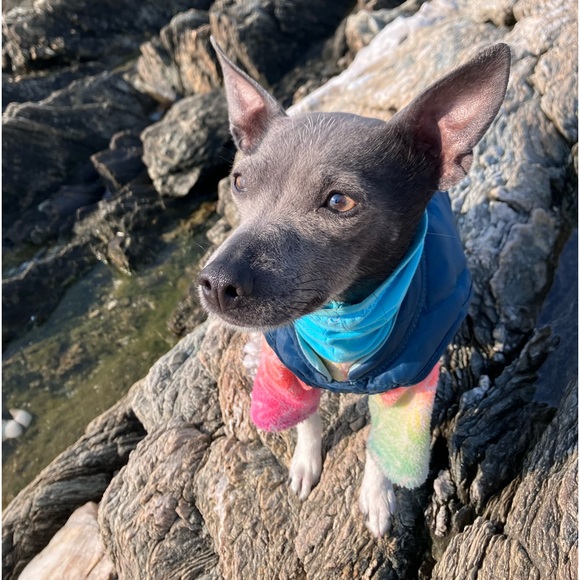 ☀️NIFTY 50s: #25 is CLOSED—PLZ BEAT FEET ON OVER & “♥️” #26❣️TY PFF’S!🫶🏼🥰♥️🌻 - Picture 12 of 17